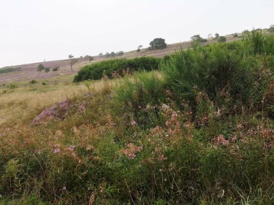 Holiday house 5 Sterne Ferienhaus in Farsø - Outdoor photo 19