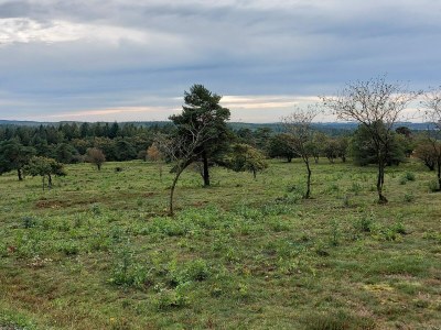 Holiday house 5 Sterne Ferienhaus in Farsø - Outdoor photo 20