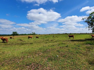 Holiday house 5 Sterne Ferienhaus in Farsø - Outdoor photo 21