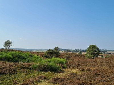 Holiday house 5 Sterne Ferienhaus in Farsø - Outdoor photo 22