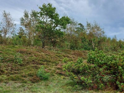 Holiday house 5 Sterne Ferienhaus in Farsø - Outdoor photo 25