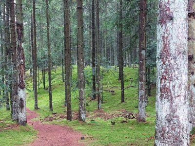 Holiday house 5 Sterne Ferienhaus in Farsø - Outdoor photo 36