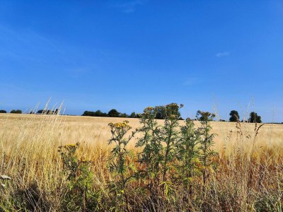 Holiday house 6 person holiday home in Horslunde - Outdoor photo 21