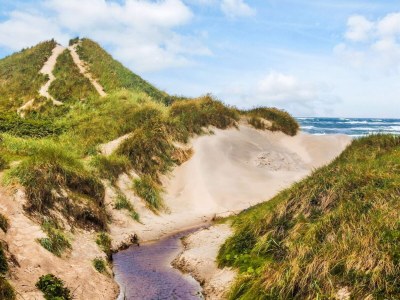 Holiday house 4 Sterne Ferienhaus in Blokhus - Outdoor photo 18