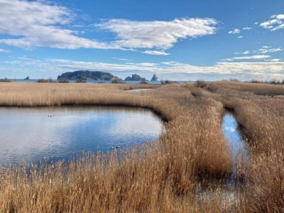 Apartment Wohnung in Estartit in der Nähe des Golfclubs - Environment photo 24
