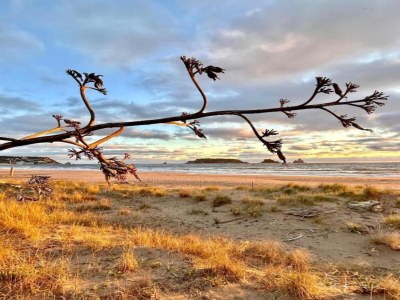 Holiday house 3 bedroom holiday home near the beach - Environment photo 29