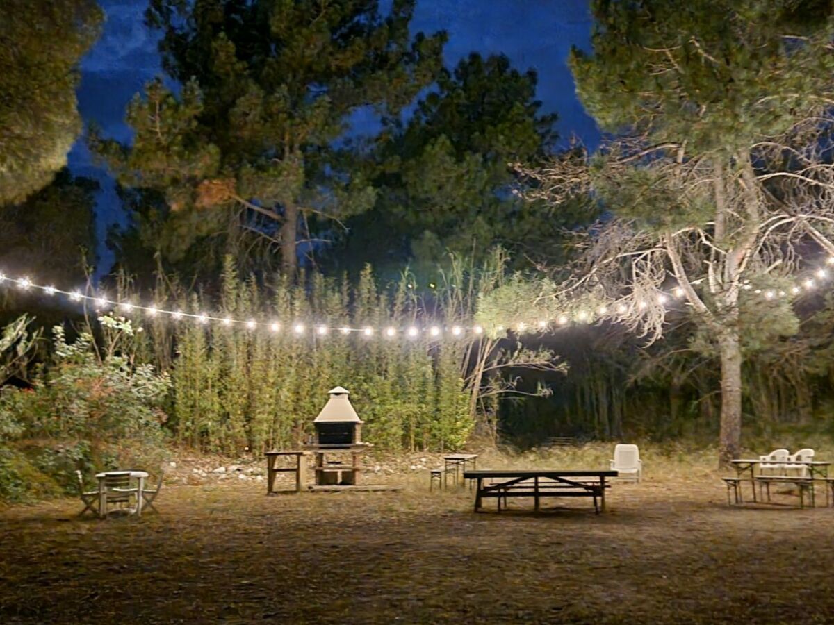 Holiday apartment "Le Soleil", 75m²,garden, access to pool & 2Ha park - Outdoor photo 5