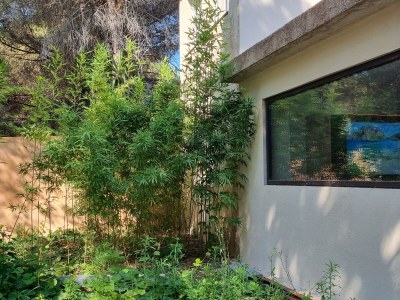 Holiday apartment "Le Soleil", 75m²,garden, access to pool & 2Ha park in ARGELES SUR MER - Holiday apartment