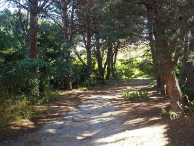 Holiday apartment "Le Soleil", 75m²,garden, access to pool & 2Ha park - Outdoor photo 6