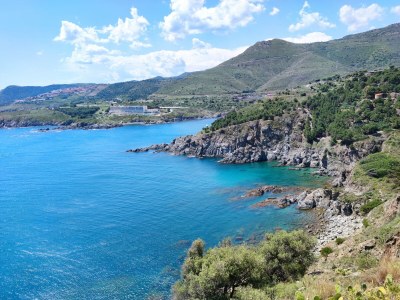 Holiday apartment "Le Soleil", 75m²,garden, access to pool & 2Ha park - Environment photo 24