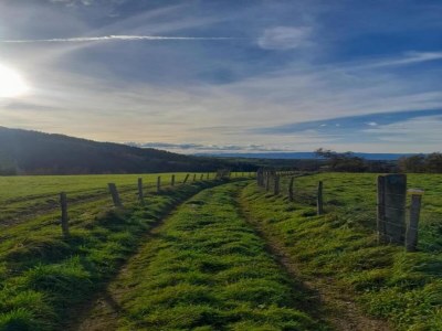 Holiday park Luxury Villa in France with Private Pool - Environment photo 13