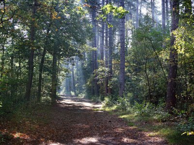 Villa Schöne Villa, Den Burg Texel - Environment photo 20