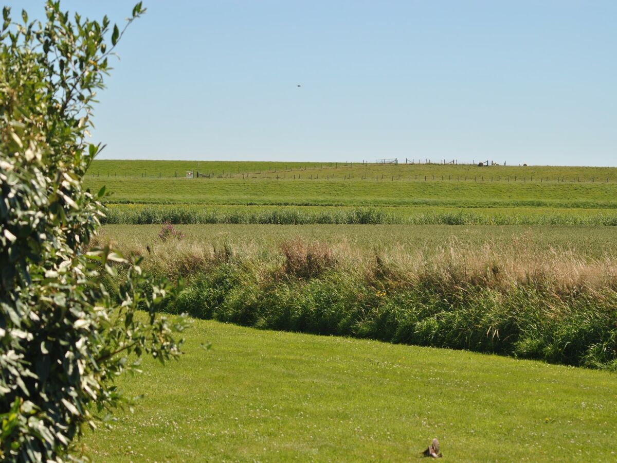 Holiday house Charmantes Ferienhaus auf Texel - Outdoor photo 3
