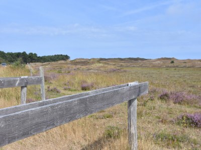 Holiday house Charmantes Ferienhaus auf Texel - Environment photo 17