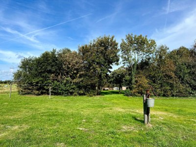 Holiday house Ferienhaus auf Texel nahe De Hors - Environment photo 22