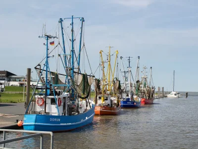 Holiday apartment Appartement  Achtern Diek 2-29 - Outdoor photo 17