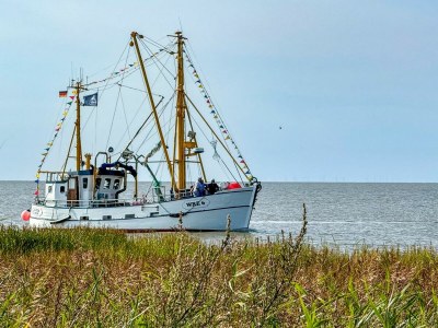 Holiday house Ferienhaus  Hans Albers 09 - Environment photo 32