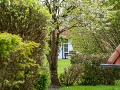 Holiday apartment Ferienwohnung  Lilli Marleen 7-15 - Outdoor photo 11