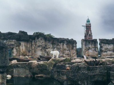 Holiday apartment Ferienwohnung  Port Marina Whg. B5.23 - Environment photo 30