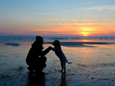 Holiday apartment Ferienreihenhaus "Juist" Lale Andersen 2b "Juist" - Environment photo 28