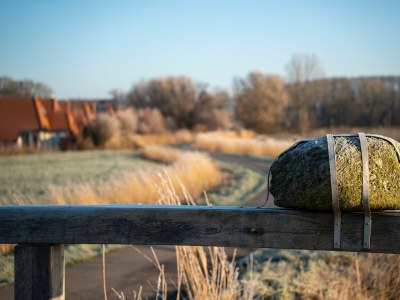 Holiday apartment Ferienreihenhaus "Helgoland " Lale Andersen 2g Galerie "Helgoland" - Environment photo 31