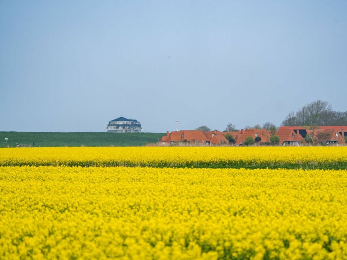 Holiday apartment Ferienreihenhaus "Mobby Dick" Lale Andersen 4g Galerie - Outdoor photo 5
