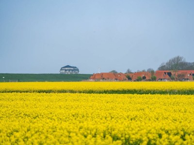 Holiday apartment Ferienreihenhaus "Mobby Dick" Lale Andersen 4g Galerie - Outdoor photo 5