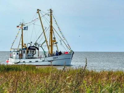 Holiday apartment Ferienreihenhaus "Mobby Dick" Lale Andersen 4g Galerie - Environment photo 27