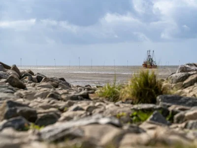 Holiday house Ferienhaus  Mellumplate 24 - Outdoor photo 18