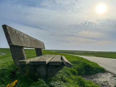 Holiday apartment Appartement "Wattenruh" Cappel Whg. 4 - Outdoor photo 7