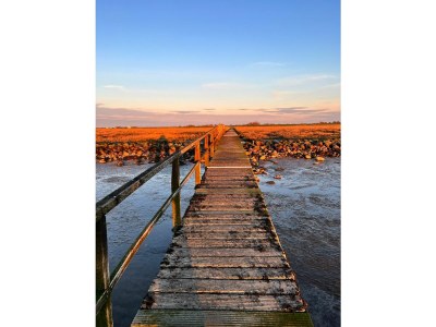 Holiday apartment Appartement "Deichblick" Cappel Whg. 10 - Environment photo 17