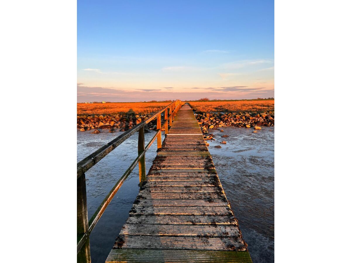 Holiday apartment Appartement  Cappel Whg. 18 - Outdoor photo 5