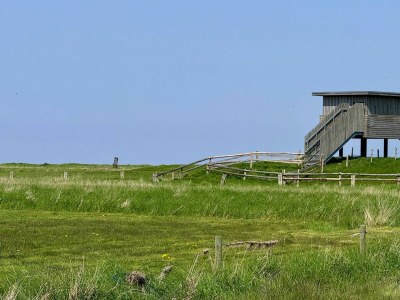 Holiday apartment Appartement  Cappel Whg. 18 - Outdoor photo 7