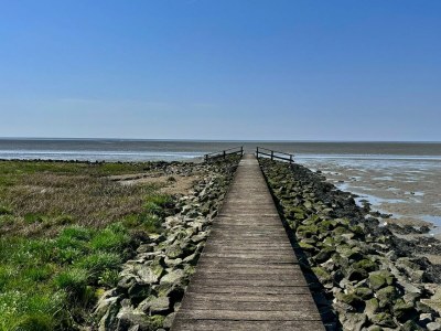 Holiday apartment Appartement  Cappel Whg. 18 - Outdoor photo 8