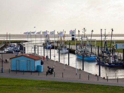 Holiday apartment Ferienwohnung  Deichgraf Resort 27-11 mit Sauna - Environment photo 28