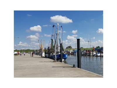 Holiday apartment Ferienwohnung  Deichgraf Resort 27-11 mit Sauna - Environment photo 31