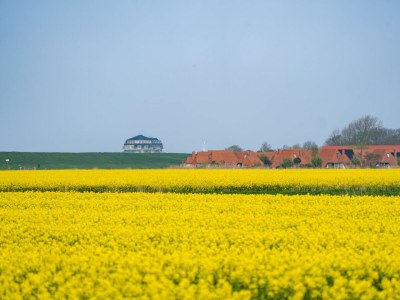 Holiday house Ferienhaus Hans Albers 2 - Outdoor photo 12