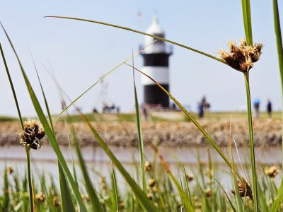 Holiday house Ferienhaus Hans Albers 2 - Environment photo 29