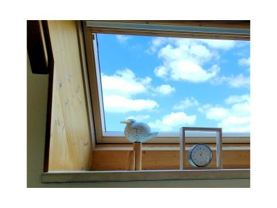 Holiday house Ferienhaus "Wolf" Ostertill 16 - Features photo 22