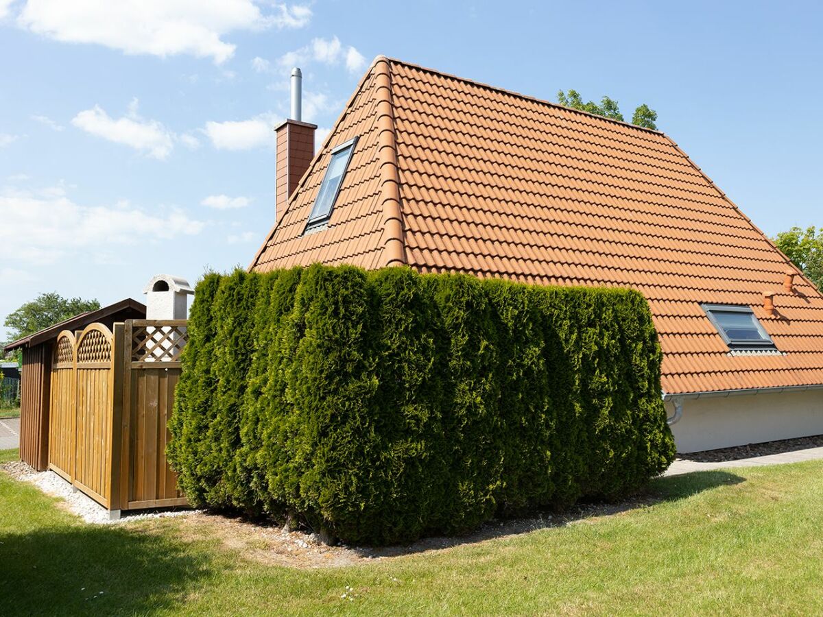 Holiday house Ferienhaus  Ostertill 15 - Outdoor photo 2