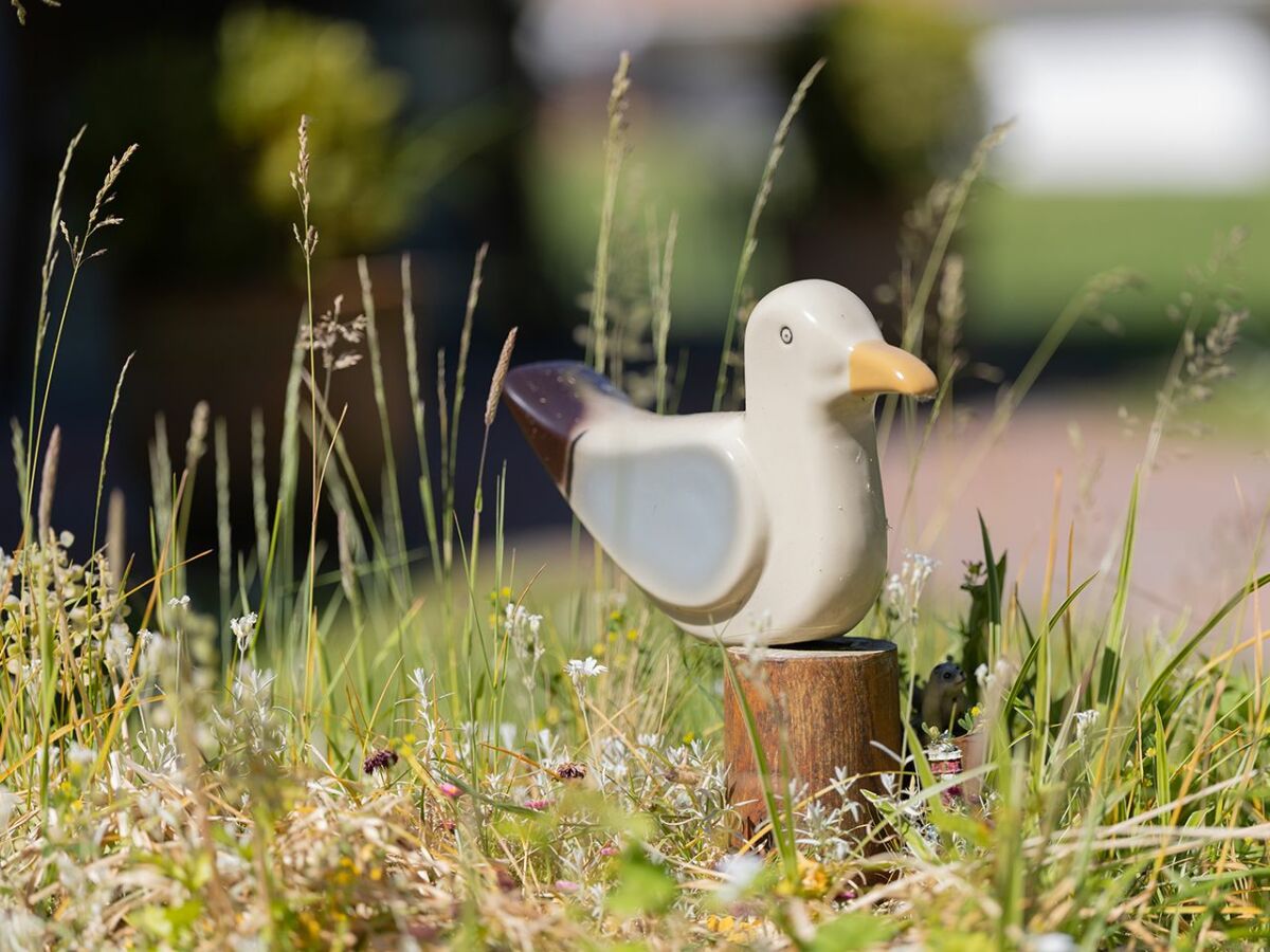 Holiday house Ferienhaus  Medemsand 04 - Outdoor photo 3