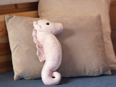 Holiday house Ferienhaus "Ankerplatz OT6" Ostertill 06 - Features photo 30