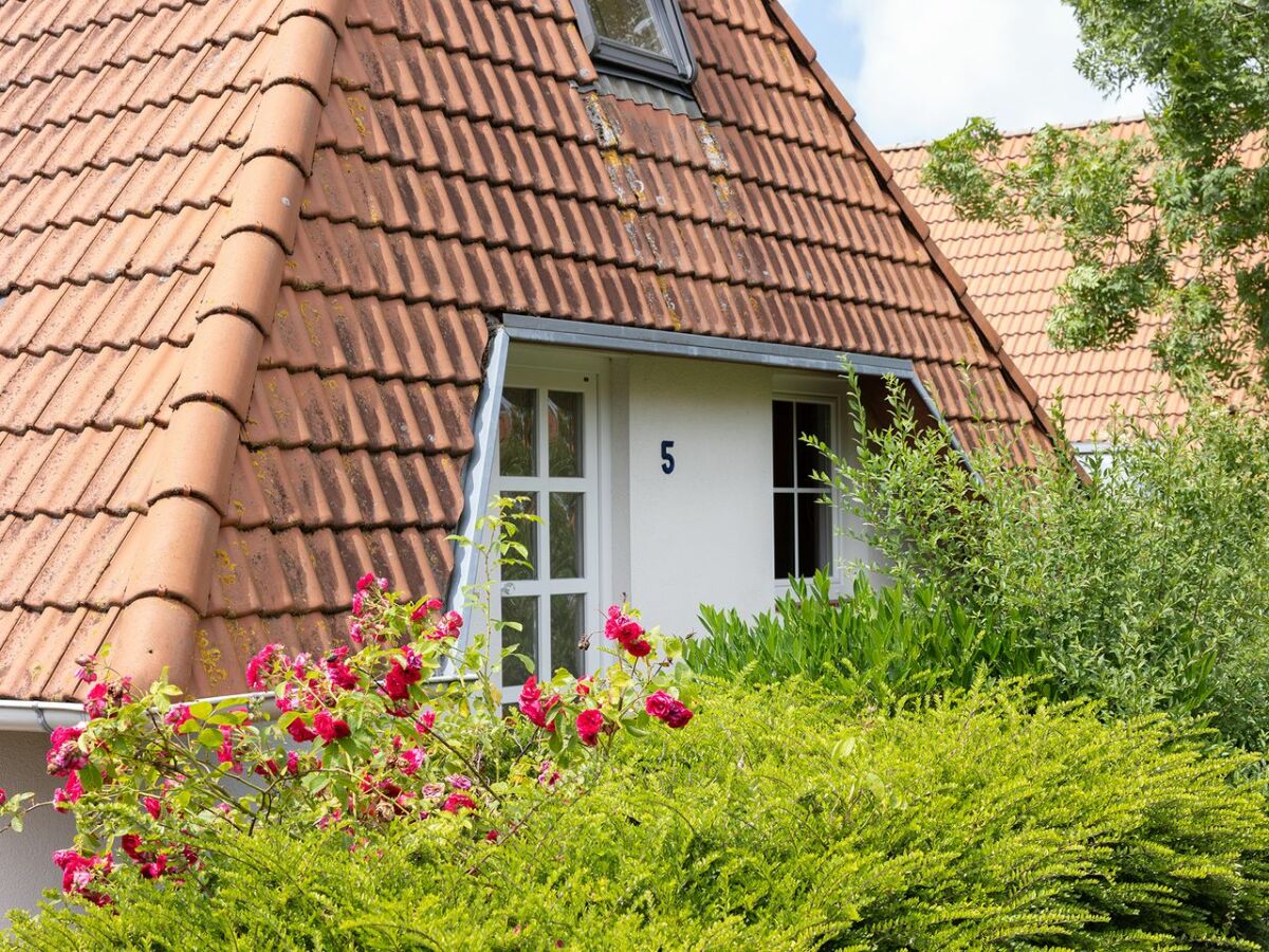 Holiday house Ferienhaus  Ostertill 05 - Outdoor photo 2