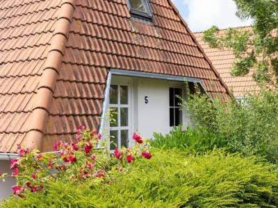 Holiday house Ferienhaus  Ostertill 05 - Outdoor photo 2