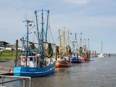 Holiday house Ferienhaus "Nordsee" Kniepsand 06 - Outdoor photo 11