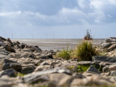 Holiday house Ferienhaus "Nordsee" Kniepsand 06 - Environment photo 34