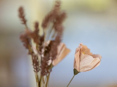 Holiday house Ferienhaus Kniepsand 2 - Features photo 27