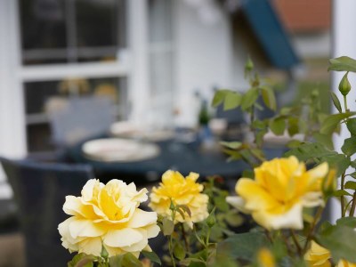 Holiday house Ferienhaus  Medemsand 18 - Outdoor photo 4