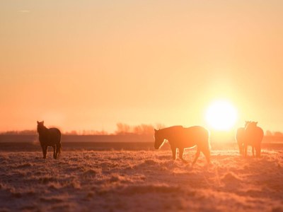 Holiday apartment Ferienwohnung BLAUORT im Zuhause am Meer - Environment photo 16