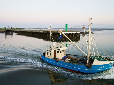 Holiday apartment Ferienwohnung BLAUORT im Zuhause am Meer - Environment photo 19